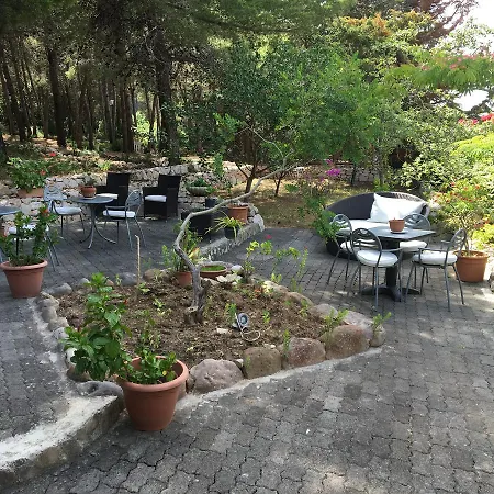 紫罗兰酒店 圣多米诺