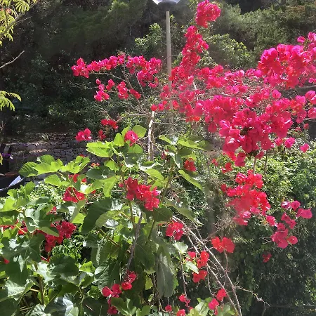 Le Viole 3* San Domino