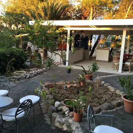 紫罗兰酒店 酒店 3*