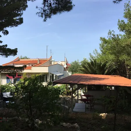 Le Viole San Domino