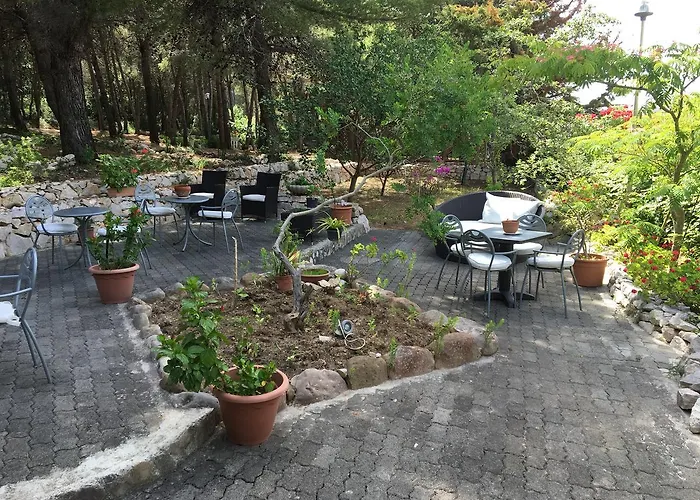 Le Viole סאן דומינו