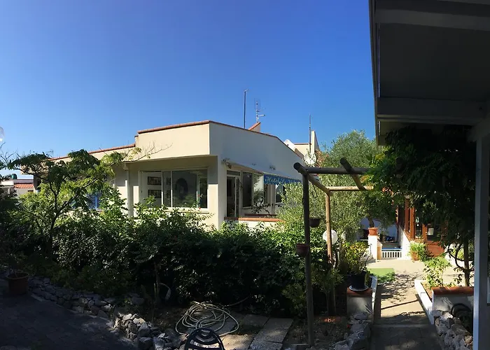 Le Viole סאן דומינו